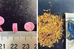 Phát hiện 2 loại ma túy cực độc mới xuất hiện tại Việt Nam