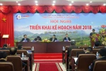 Tổng Công ty Truyền tải điện quốc gia đang làm gì để lọt vào top 10 châu Á?