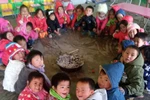 Xem thầy cô giáo chống rét cho học sinh ở Đồng Văn