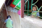 Xã hội nên có cái nhìn toàn diện hơn về vụ việc cô giáo buộc trẻ ở Trực Ninh