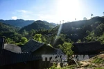 Cảnh báo tình trạng buôn bán người ở vùng biên giới