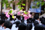 Quảng Trị tháng 5, những cơn gió Lào quẹt qua mơ ước