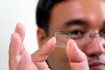 Nhật Bản phát triển công nghệ lưu trữ dữ liệu hơn 300 triệu năm