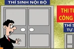 Tại sao người ta thích mềm mại, thích vuốt ve nhau?