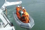 Vụ đâm tàu ngoài khơi Vũng Tàu: Cục hàng hải vào cuộc điều tra