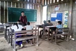 Bông hoa dại và niềm vui của người thầy