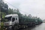 Cảnh sát giao thông mắng tài xế "mày ngu lắm!", doạ phạt 180 triệu đồng