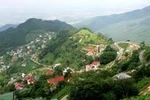 Ủng hộ phá rừng làm nghĩa trang, lãnh đạo Vĩnh Phúc vẫn "nói hay" về bảo vệ rừng