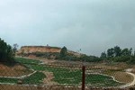 Xưng là người của FLC đưa cho dân 1 triệu để “lánh nạn” cát, bùn trong đêm 