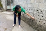 [ VIDEO] Đất, cát của dự án FLC chảy cuồn cuộn lấp đường xá, tràn vào nhà dân 