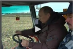 Putin, Medvedev lái máy gặt thu hoạch 12 tấn bắp ngô
