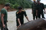 Mưa lớn, lộ bom mìn ở Huế