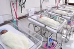 Đồng tình cho mang thai hộ, không can thiệp hôn nhân đồng giới