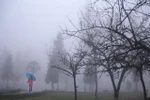 Cảnh báo sương mù dày đặc ở Bắc Bộ