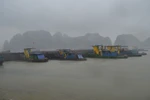 Bão số 5 đổ bộ vào Quảng Ninh, di dân khẩn cấp khỏi vùng nguy hiểm