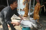 Thú rừng bị xẻ thịt la liệt trong ngày khai hội chùa Hương