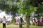 Phát hiện xác người đàn ông chết trong tư thế treo cổ