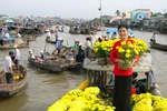Chùm ảnh: Rực rỡ chợ hoa trên sông ở đồng bằng Cửu Long