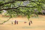 Xuân về giá buốt trên cao nguyên Mộc Châu, Sơn La