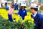 Miền Bắc ấm dần, sáng sớm có sương mù