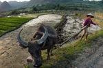 Một đồng cho người nghèo, mất hai đồng cho hành chính