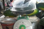 Đọc nhanh sáng 19/4: Bóc trần chiêu thức kinh doanh "điêu" móc túi NTD