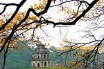 "Chả phải ở Sầm Sơn, ở Hà Nội tôi cũng bị họ chặt chém cho tơi bời"