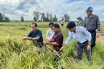 Thiếu kinh phí cơ bản khiến Viện Biến đổi khí hậu khó giữ chân nhà khoa học