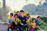 Bó hoa dã quỳ là món quà ý nghĩa nhất dịp 20/11 của thầy Phong