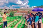 Vì đâu nên nỗi ngành Bảo vệ thực vật cơ hội việc làm lớn nhưng tuyển sinh èo uột
