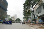 Người Hà Nội làm thơ xót thương cây bị chặt