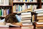 Điều kiện vật chất tốt, vì sao có học sinh-sinh viên tê liệt tự học?