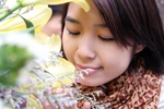 Nguyễn Thị Thúy, Thanh Hóa, Đại Học Sư Phạm Hà Nội (876)