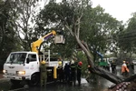 Thành phố Hồ Chí Minh ngưng mọi hoạt động học tập trong chiều và tối 26/11