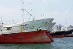 Nếu không được vay vốn ưu đãi: Đại gia Đức Khải “vỡ mộng” ra khơi?