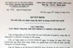 205 triệu đồng/33 tỉ đồng từ thương vụ havl.com: Những con số biết nói