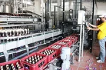 TS Bùi Kiến Thành: Cấp phép nhà máy bia mới là nguy cho kinh tế