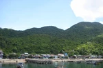 Cáp ngầm mang điện lưới Quốc gia ra đảo Cù Lao Chàm