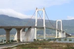 Buồn chuyện gia đình, nhảy cầu tự tử
