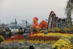 Đà Nẵng rực rỡ chào Xuân 2017