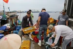 Đà Nẵng công khai các điểm bán hải sản sạch