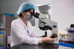 Liêm chính khoa học "đi vào" quy định của Quỹ Nafosted 