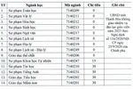 Chỉ tiêu đào tạo sư phạm của nhiều trường đại học địa phương liên tục giảm