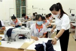 Hợp nhất GD nghề với Giáo dục chuyên nghiệp làm méo mó cơ cấu nguồn nhân lực