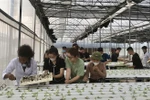 So sánh điểm chuẩn, học phí ngành Nông nghiệp ở một số trường đại học