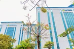 Không tìm thấy đề án mở nhiều ngành mới, ĐH Công nghệ TP.HCM nói do lỗi kỹ thuật