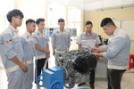 Sắp xếp, tổ chức lại hệ thống cơ sở GDNN công lập đảm bảo tinh gọn, hiệu quả