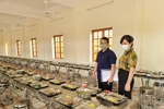 Hải Phòng: quy trình vận hành bếp ăn để đảm an toàn sức khỏe cho học sinh 