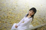 Phan Thị Loan, Hà Nội, Đại học Hà Nội (2085)