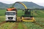 Lời giải cho bài toán phát triển kinh tế tri thức trong nông nghiệp 